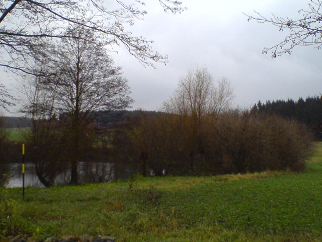 DSC01237.JPG